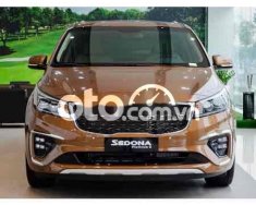 Kia Sedona 2020 - Nhập khẩu giá 1 tỷ 100 tr tại Đồng Tháp