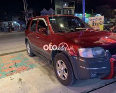 Ford Everest 2002 - Xe gia đình đi kẹt tiền cần bán giá 130 triệu tại Tp.HCM