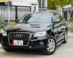 Audi Q5 2014 - Màu đen giá ưu đãi giá 890 triệu tại Nghệ An