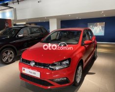 Volkswagen Polo 2021 - Màu đỏ, nhập khẩu giá ưu đãi giá 660 triệu tại Tp.HCM