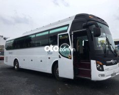 Hyundai Universe 2008 - Xe mới đăng kiểm giá 250 triệu tại Tp.HCM