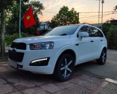 Chevrolet Captiva 2012 - Màu trắng giá 315 triệu tại Thanh Hóa