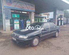 Peugeot 605 1994 - Màu đen, xe nhập chính chủ giá 60 triệu tại Tp.HCM