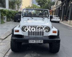 Jeep Wrangler 1990 - Màu trắng, giá cực tốt giá 800 triệu tại Tp.HCM