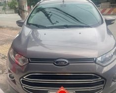 Ford EcoSport 2015 - Màu xám, 410tr giá 410 triệu tại Ninh Bình