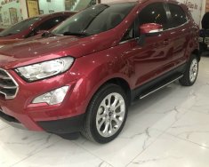 Ford EcoSport 2018 - Bán xe chính chủ giá tốt giá 522 triệu tại Hà Nam