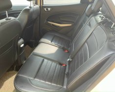 Ford EcoSport 2019 - Xe có hồ sơ chính chủ giá 565 triệu tại Hưng Yên