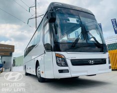 Hyundai Universe 2019 - Bán xe linh kiện nhập khẩu - Hyundai Thành Công, giá 3 tỷ 200tr giá 2 tỷ 999 tr tại Tp.HCM