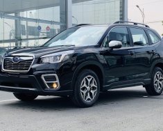 Subaru Forester 2022 - giá tốt nhất - sẵn xe giao ngay giá 899 triệu tại BR-Vũng Tàu