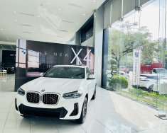 BMW X4 2022 - Xe sang, giá rẻ, ưu đãi tốt nhất thị trường giá 3 tỷ 279 tr tại Hải Phòng