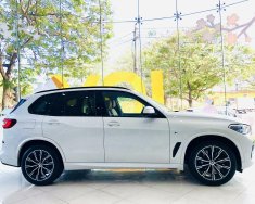 BMW X5 2022 - Xe siêu đẹp, nhập khẩu nguyên chiếc giá 4 tỷ 359 tr tại Hải Phòng