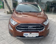 Ford EcoSport 2020 - Thanh lý xe bán chính hãng - Có bảo hành giá 599 triệu tại An Giang