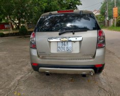 Chevrolet Captiva 2011 - Xe máy dầu số tự động giá 355 triệu tại Quảng Ninh