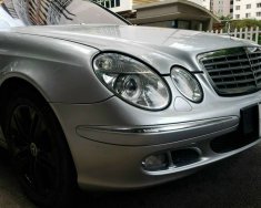 Mercedes-Benz E200 2006 - Màu bạc giá 290 triệu tại Tp.HCM
