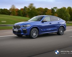 BMW X6 2022 - Giá ưu đãi chỉ với 4 tỷ 949tr giá 4 tỷ 949 tr tại Đà Nẵng