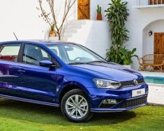 Volkswagen Polo 2022 - Giảm sốc trong T11 - Có xe sẵn giao ngay trong tháng - Đủ màu giá 695 triệu tại Hà Nội