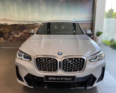 BMW X4 2022 - Xe hot có sẵn giao ngay quà tặng hấp dẫn giá 3 tỷ 499 tr tại Bình Dương