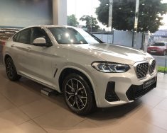 BMW X4 2022 - Đủ màu, giao xe ngay giá 3 tỷ 499 tr tại Bình Dương