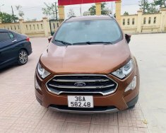 Ford EcoSport 2020 - Màu nâu, giá 575tr giá 575 triệu tại Thanh Hóa