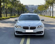 BMW 520i  M Sport 2017 - Bán ô tô BMW 520i M Sport năm 2017, màu trắng, nhập khẩu giá 1 tỷ 250 tr tại Hà Nội