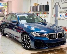 BMW 530i 2020 - Bán xe BMW 530i LCI năm 2020, màu xanh lam, xe nhập giá 3 tỷ 139 tr tại Tp.HCM