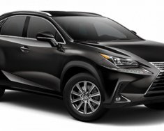 Lexus NX 300    2021 - Bán Lexus NX 300 sản xuất 2021, màu đen, nhập khẩu nguyên chiếc   giá 2 tỷ 550 tr tại Tp.HCM