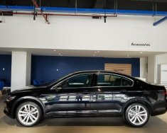 Volkswagen Passat BlueMotion 2019 - 2 chiếc Volkswagen Passat (1 lướt, 1 chưa lăn bánh) giá 1 tỷ 200 tr tại Tp.HCM