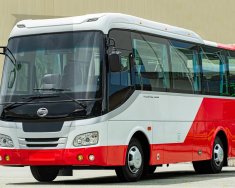 Samco Allergo 2022 - Si.29 new giá 1 tỷ 400 tr tại Tp.HCM