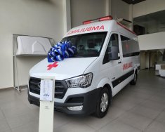 Hyundai Solati 2021 - Xe đã hoàn tất hồ sơ giá 1 tỷ 195tr giá 1 tỷ 195 tr tại Tp.HCM