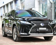 Lexus RX 450 2022 - Xe cực đẹp giá 4 tỷ 790 tr tại Hà Nội