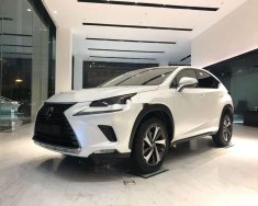 Lexus NX 300 2021 - Bán ô tô Lexus NX 300 năm sản xuất 2021, màu trắng giá 2 tỷ 560 tr tại Hà Nội