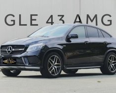 Mercedes-Benz GLE 43 2017 - Màu đen, xe nhập số tự động giá 2 tỷ 999 tr tại Tp.HCM