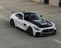 Mercedes-Benz AMG GT 2016 - Xe hai màu giá 2 tỷ 400 tr tại Hà Nội