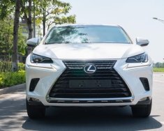 Lexus NX 300 2017 - Xe màu trắng giá 1 tỷ 980 tr tại Hà Nội