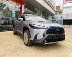 Toyota Corolla Cross 2022 - Toyota Đắk Nông sẵn xe giao ngay giá 765 triệu tại Đắk Nông