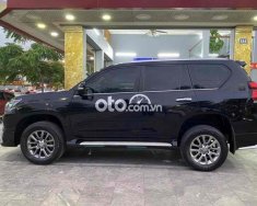 Toyota Land Cruiser Prado 2019 - Màu đen, nhập khẩu nguyên chiếc giá 2 tỷ 350 tr tại Thái Nguyên