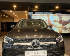 Mercedes-Benz GLC 300 2022 - Giao xe tại nhà miễn phí toàn quốc giá 2 tỷ 569 tr tại Cần Thơ