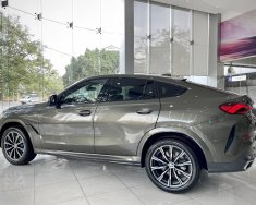 BMW X6 2022 - Giao xe tận nhà, tận tình, chu đáo giá 5 tỷ 199 tr tại Nghệ An