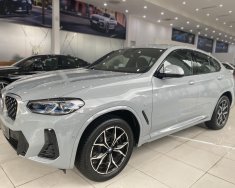 BMW X4 2022 - 3 tỷ 499 triệu giá 3 tỷ 499 tr tại Hải Phòng