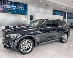 BMW X5 2022 - Giá 4 tỷ 019 triệu - Sẵn giao ngay giá 4 tỷ 19 tr tại Hải Phòng