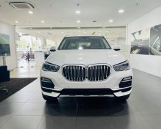 BMW X5 2022 - Giá 4 tỷ 019 triệu - Sẵn giao ngay giá 4 tỷ 19 tr tại Hải Phòng