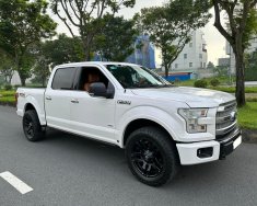 Ford F 150 2015 - Xe rất đẹp giá 3 tỷ 50 tr tại Tp.HCM