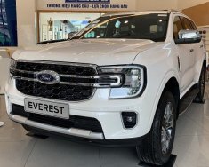 Ford Everest 2022 - Hỗ trợ vay đến 80% giá xe. Giao xe ngay trong tháng giá 1 tỷ 245 tr tại Hưng Yên