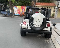 Jeep Wrangler   sản xuất 1990 Hàng Hiếm 1990 - Jeep Wrangler sản xuất 1990 Hàng Hiếm giá 800 triệu tại Tp.HCM