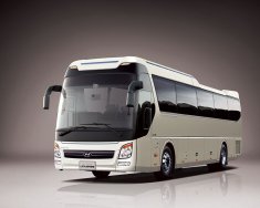 Hyundai Universe 2022 - Bán xe khách 47 chỗ đời mới sẵn màu tiêu chuẩn giao ngay tại Hyundai Bắc Việt, Long Biên Hà Nội. Giá tốt nhất hệ thống giá 3 tỷ 85 tr tại Hà Nội