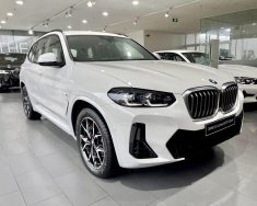 BMW X3 2022 - Chiếc SAV sang trọng, thể thao phù hợp với mọi lứa tuổi giá 2 tỷ 439 tr tại Khánh Hòa