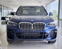 BMW X5 2022 - Xe sẵn giao ngay giá 4 tỷ 19 tr tại Khánh Hòa