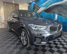 BMW X5 2022 - [ Ưu đãi hot gần 100tr] Báo giá tốt nhất - Nhận chương trình đặc biệt - Hỗ trợ thủ tục a-z giá 4 tỷ 19 tr tại Tp.HCM