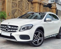 Mercedes-Benz GLA 250 2019 - Màu trắng cực hiếm giá 1 tỷ 368 tr tại Hà Nội