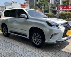 Lexus GX 460 2010 - Màu trắng giá 1 tỷ 950 tr tại Tp.HCM